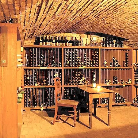Merlot Louny