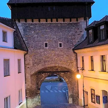 Merlot 3* Louny